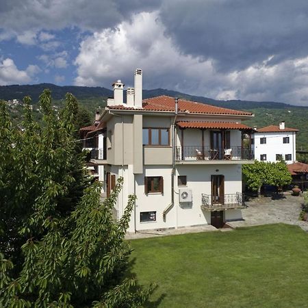 Iatrou House- Villa With Incredible View Portariá Zewnętrze zdjęcie