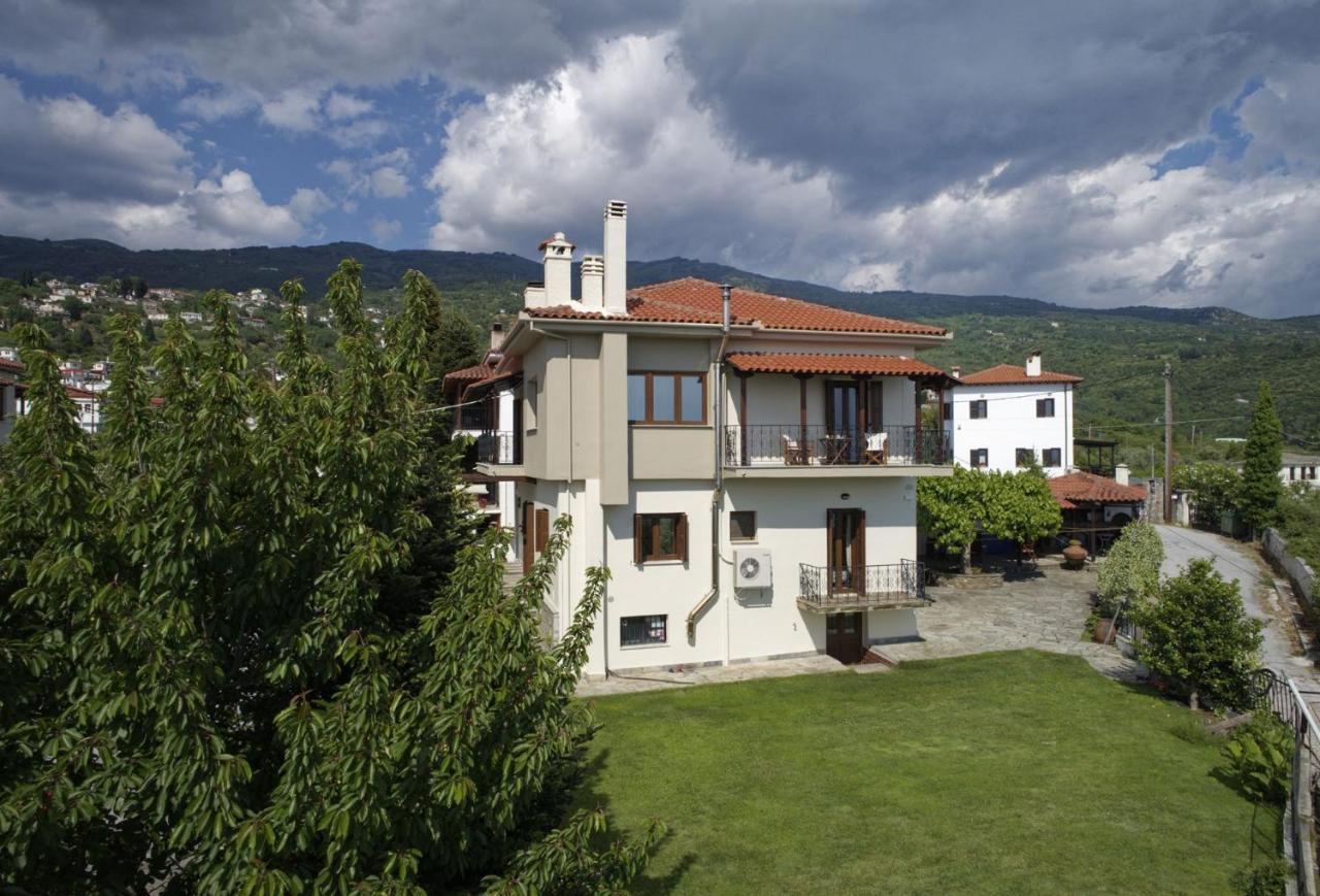 Iatrou House- Villa With Incredible View Portariá Zewnętrze zdjęcie