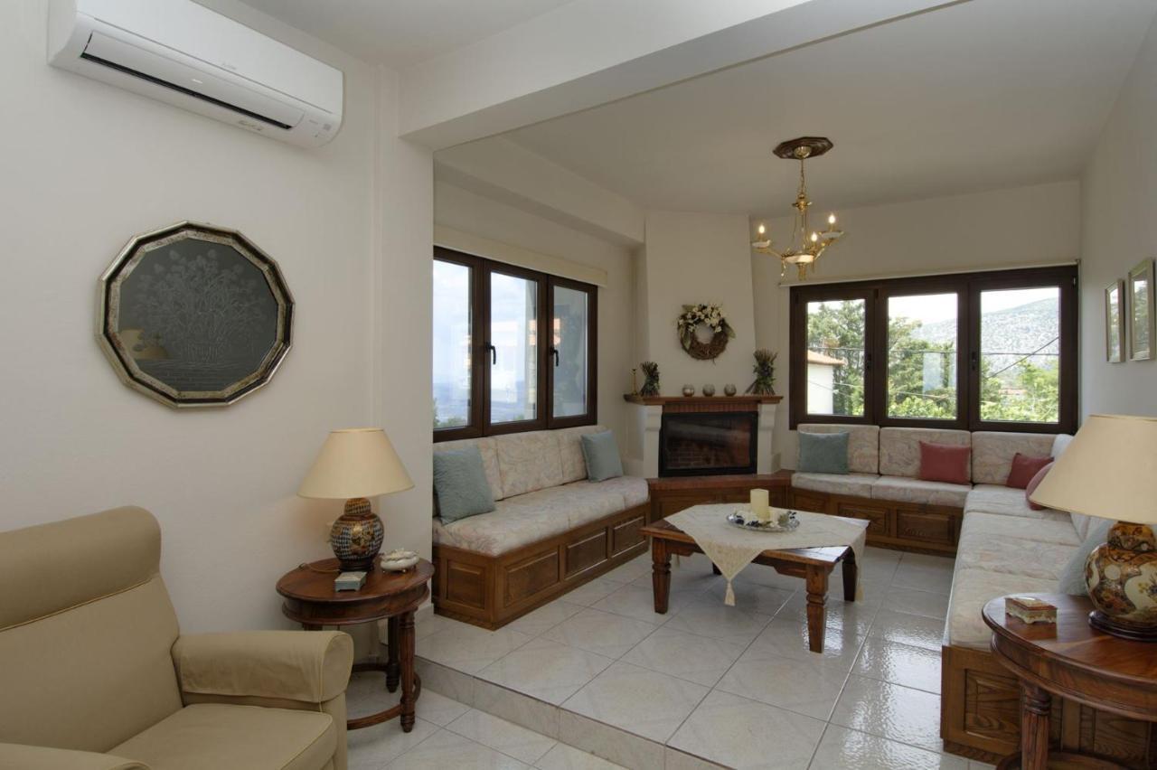 Iatrou House- Villa With Incredible View Portariá Zewnętrze zdjęcie